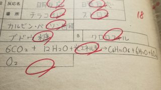 定期テストの分析をしよう！