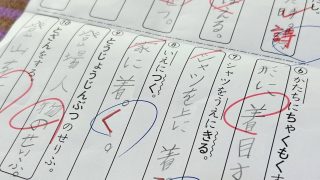 国語のテスト勉強によくある落とし穴